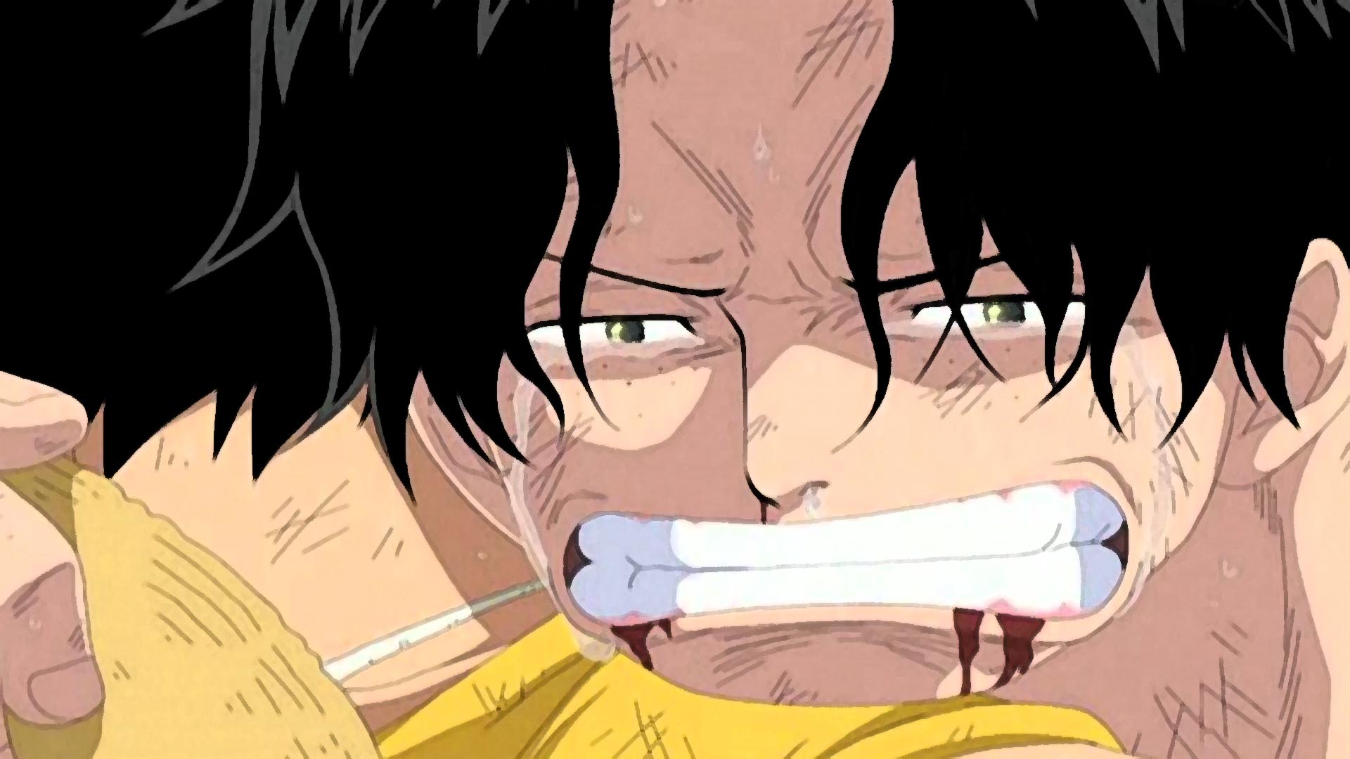One Piece - Anime terá hiato de 2 semanas - Anime United