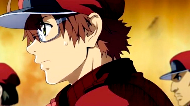 Cells at Work! - 2ª temporada tem estreia definida - Anime United