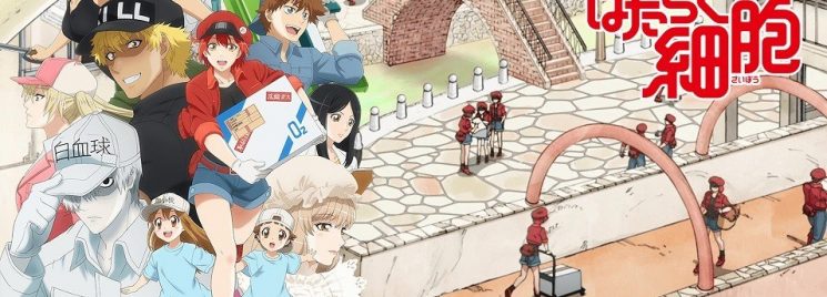 Hataraku Saibou !! - Novo comercial da segunda temporada conta com a  presença dos Leucócitos. - Anime United