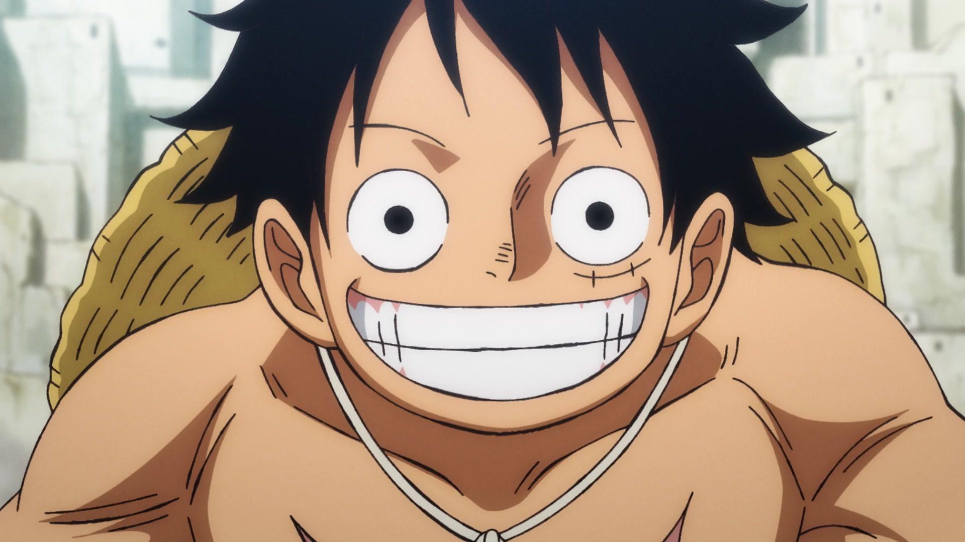 Canal do  transmitirá One Piece 24 horas por dia, 7 dias por semana,  por um ano