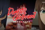 Análise Definifiva – Domestic Girlfriend